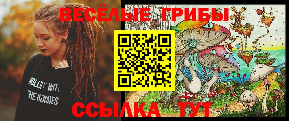 Псилоцибиновые грибы Psilocybe Мытищи