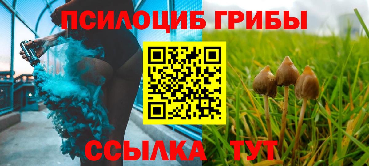 магазин продажи наркотиков  Псилоцибиновые грибы MAGIC MUSHROOMS  Вход с VPN  Мытищи  Псилоцибиновые грибы мицелий 